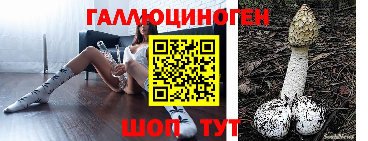 как найти наркотики  Галлюциногенные грибы мухоморы  Балашов  Вход с VPN  Псилоцибиновые грибы Psilocybe 