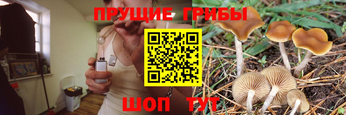 Галлюциногенные грибы GOLDEN TEACHER Балашов